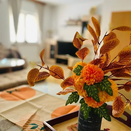 Summer House Lejhana بيت للعطل بيهاتش