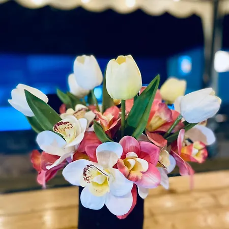 Summer House Lejhana